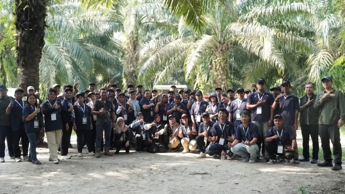 Holding Perkebunan Nusantara Dorong Produktivitas Sawit Rakyat melalui Pembelajaran di Kebun Adolina
